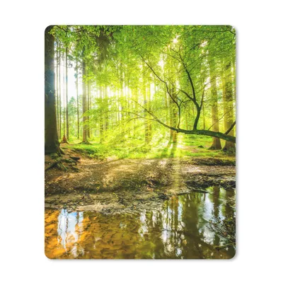 Produktbild von MuchoWow® Mauspad Mousepad Wald - Landschaft - Wasser - Bäume - Sonne - Grün - Natur 19x23 cm - Mousepads - Maus Mat - Pad - Mausunterlage - Mauspads - Spielen
