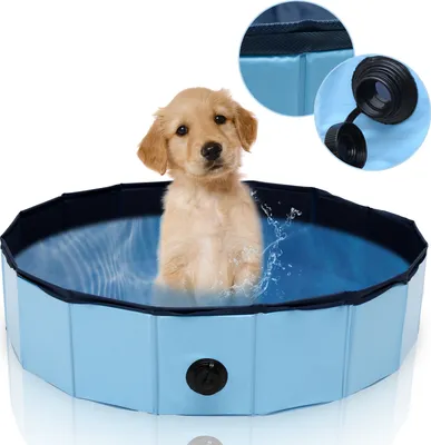 Produktbild von Jayseuw Hundepool Faltbar Pool Schwimmbecken Swimmingpool Hunde Planschbecken Bad Ø 80cm x H 20cm