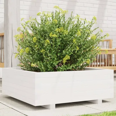 Produktbild von "Rabatt" Pflanzkübel modernem Design - Blumentopf/Pflanzkasten - Weiß 70x70x26,5 cm Massivholz Kiefer - Beete CC23418