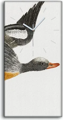Produktbild von Wanduhr Uhr Wandbild Leinwand Geräuschlos 30x60 Zeichnung Tier Vogel Kunst - weiße Hände