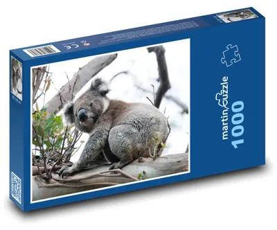 Zdjęcie produktu dla martinpuzzle - Puzzle 1000 elementów - Koala