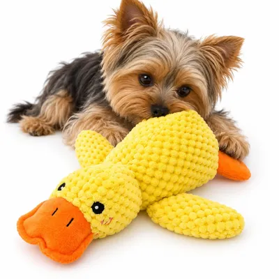 Produktbild von Plüsch-Ente Hundespielzeug mit Quietscher – Quietschspielzeug & Kuscheltier für kleine Hunde, Welpen & Katzen, 22 cm – Gelb