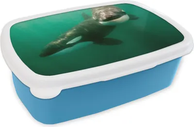Obrázok produktu pre KitchenYeah® Lunchbox Obedový box 17x11 cm Dve kosatky vo vode Detský obedový box - Obed - Plastový - Sendvičový box - Obedový box pre deti