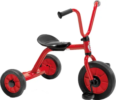 Immagine prodotto di Winther Mini Triciclo con Ponte - Veicolo per Bambini 2-4 Anni