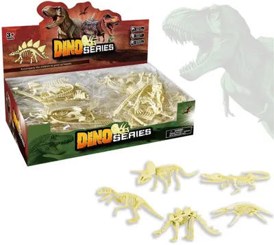 Produktbild von Ein Dinosaurierskelett zum Zusammenbauen