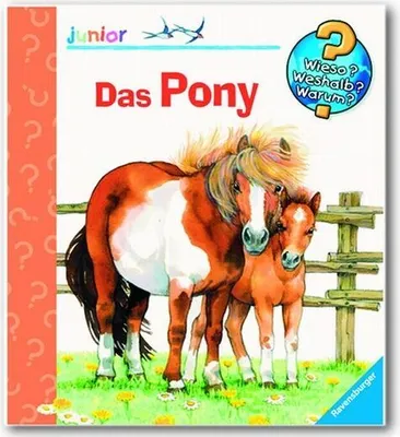 Produktbild von Das Pony