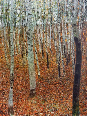 Produktbild von Gustav Klimt Kunstdruck Bild - Birkenwald, 1903 (80 x 60 cm)