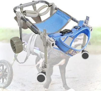 Produktbild von Famanu Hunde-Rollstuhl - Mobilitätshilfe - Verstellbares Design - 2 oder 4 Räder