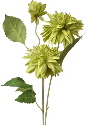 Immagine prodotto di Fiore artificiale Clayre & Eef 70 cm plastica verde