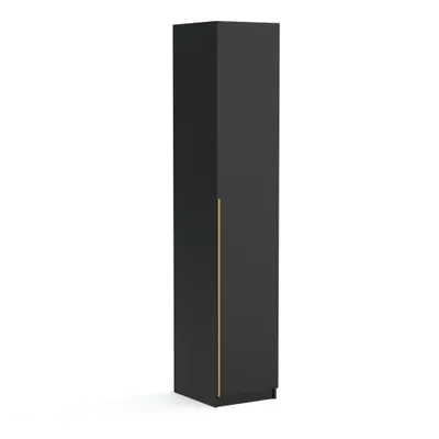 Produktbild von Kleiderschrank, Drehtürenschrank, 1-türig, 45cm breit, matt, Pablo schwarz gold