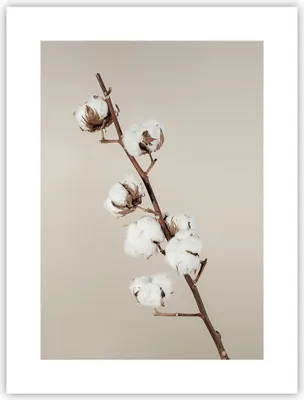 Produktbild von Poster - Poster ohne Rahmen - Baumwolle Zweig Boho - 30x40 cm - Wand Bild - Wanddeko - Wandbilder - Kunstposter - Wandposter - Bilder - Kunstdruck - Wanddekoration - Wandbild - P2XPA30x40-4730