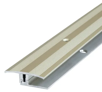 Produktbild von Dalsys Übergangsprofil 90cm für 8mm Belagsstärke, aus eloxiertem Aluminium, Champagner