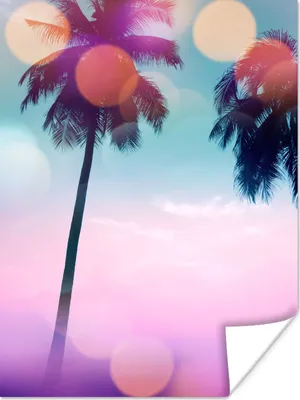Produktbild von MuchoWow® Poster Sommer - Palmen - Himmel - Rosa 120x160 cm - Wandbilder