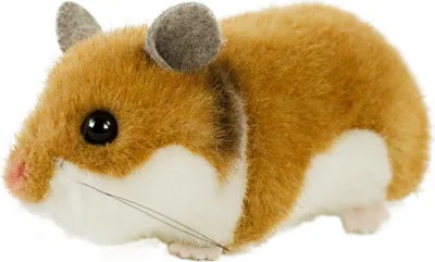 A plush toy hamster on a white background.