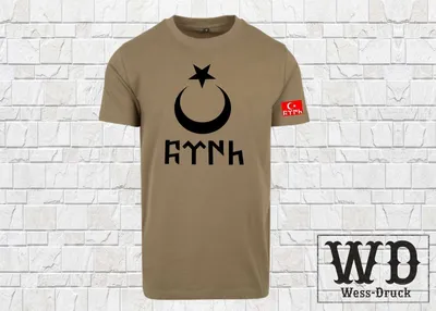 Produktbild von Göktürk Türk T-Shirt Ay Yildiz Wessdruck Olive/Schwarz S