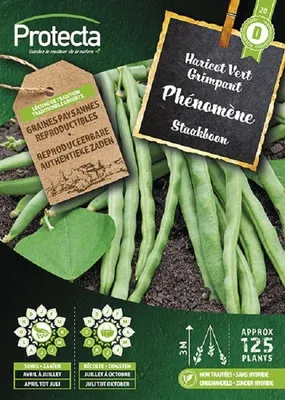 Productafbeelding van Protecta Groente zaden: Staakboon PHENOMENE
