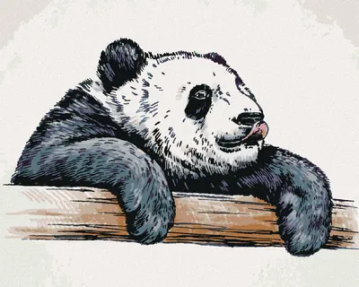 Obrázok produktu pre Zuty - Diamantové maľovanie - OLIZUJÚCA SA PANDA, 40x50 cm, bez rámu a bez vypnutia plátna