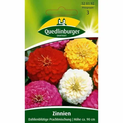 Zdjęcie produktu dla Zinnia Dahlia kwitnąca mieszanka