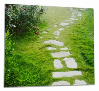 Produktbild von Wallario Herdabdeckplatte aus Glas, Größe 60 x 52 cm 1-teilig, Motiv Steinweg im Grünen