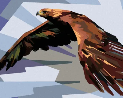 Produktbild von Zuty - Malen nach Zahlen - BRAUNADLER IM FLUG, 40x50 cm, ohne Keilrahmen
