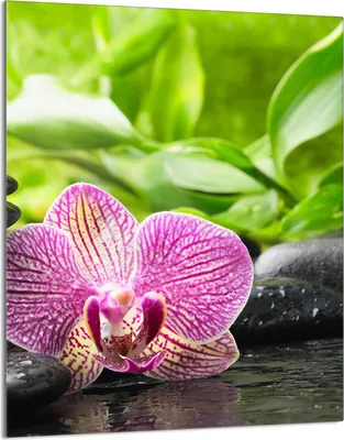 Immagine prodotto di Piastra copri fornelli 40x52 Piastra copri piano cottura in ceramica alzatina in vetro tagliere decorativo, orchidea viola