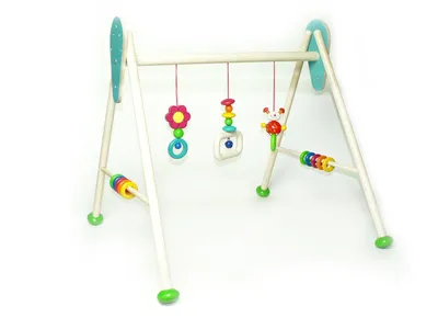 Produktbild von Babyspielzeug Babyspielgerät Käfer Tom BxLxH 620x570x545mm NEU