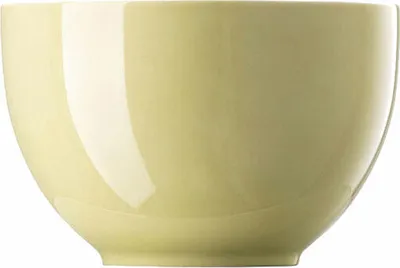 Immagine prodotto di Thomas Sunny Day Müslischale, Schüssel, Porzellan, Avocado Green, 12 cm, 10850-408548-15456