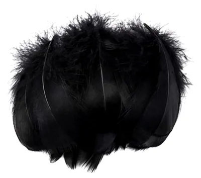 Produktbild von 100 Stück schwarze Bastelfedern 8-12 cm für DIY Deko und Handwerk