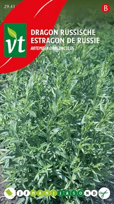 Immagine prodotto di Semi di dragoncello russo - Circa 0,5 gr | VT_2941
