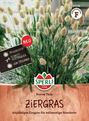 Produktbild von SPERLI Ziergrassamen Bunny Tails Lagurus ovatus 50 Pflanzen