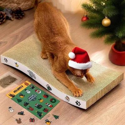 Productafbeelding van Katten Krabplank - Kartonnen Krabmat - Kattenverzorging - Duurzaam Golfkarton - 40 x 20 cm - Natuurlijk
