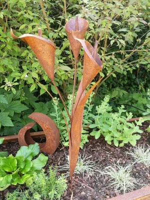 Produktbild von Edelrost Blume Calla zum Stecken