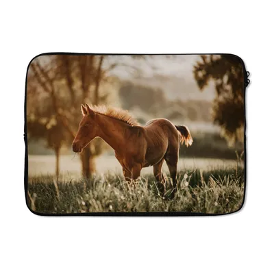 Produktbild von MuchoWow® Laptop Hülle 13 Zoll Pferd - Licht - Wiese Laptoptasche - Laptophülle - Sleeve - Rundumschutz