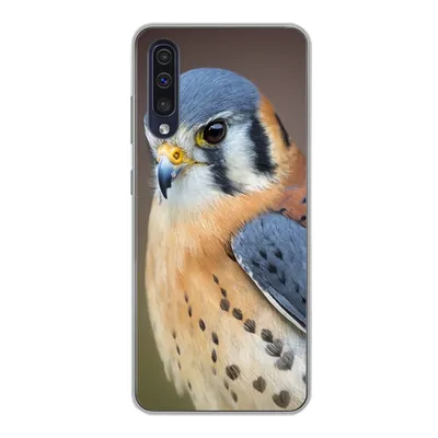 Produktbild von MuchoWow® Handyhülle Schutzhülle Hülle für Samsung Galaxy A30s Vogel - Makro - Blau Silikon Softcase Handy Hülle - Karteninhaber