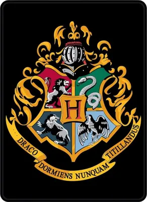 Produktbild von Harry Potter - Hogwarts Wappen Kühlschrank-Magnet, Metall CD183 (Einheitsgröße) (Bunt)