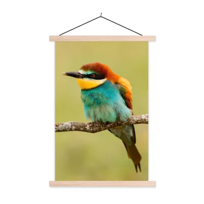 Produktbild von MuchoWow® Textilposter Vogel - Bienenfresser - Tiere 40x60 cm mit holzfarbenen Rahmen - Poster