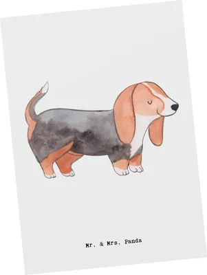 Produktbild von Mr. & Mrs. Panda Postkarte Basset Hound Lebensretter - Weiß - Geschenk, Ansichtskarte, Fotokarte, Postkarten, Grußkarte, Ansichtskarten