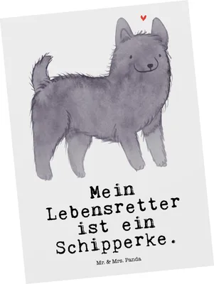 Produktbild von Mr. & Mrs. Panda Postkarte Schipperke Lebensretter - Weiß - Geschenk, Postkarten, Ansichtskarte, Fotokarte, Belgische Hunderasse, Grußkarte, Ansichtskarten
