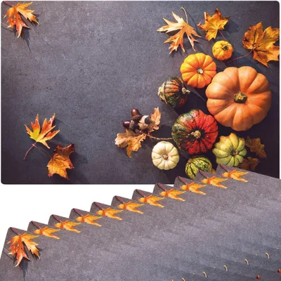Produktbild von Abwaschbare Tischsets 12er Set Herbst-Laub & Kürbisse