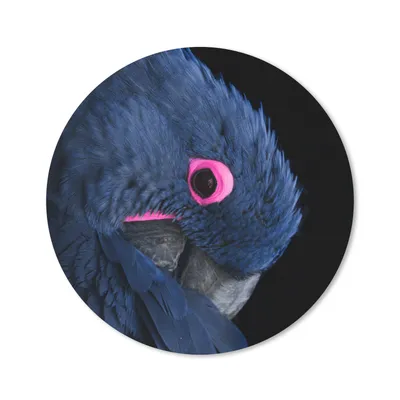 Produktbild von MuchoWow® Mauspad Mousepad Papagei - Rosa - Blau 50x50 cm - Mousepads - Maus Mat - Pad - Mausunterlage - Vinyl