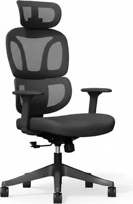 Obrázok produktu pre Ergonomická kancelárska stolička BS5BB čierna, nastaviteľné podrúčky, čierna