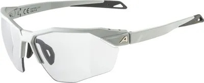 Image de Alpina Twist SIX S HR V gris fumé mat