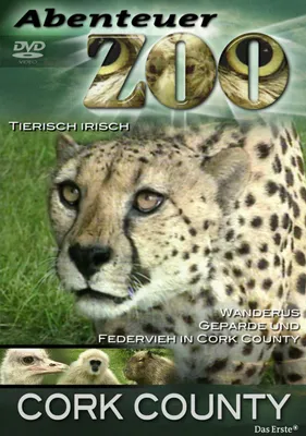Produktbild von Abenteuer Zoo