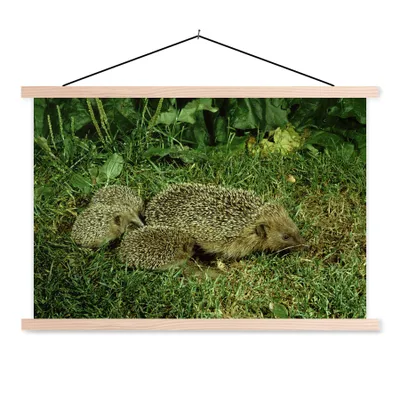 Produktbild von MuchoWow® Textilposter Igel mit drei Igelbabys 120x80 cm mit holzfarbenen Rahmen - Aufhängeset