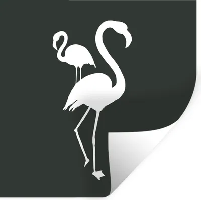 Produktbild von MuchoWow® - Repositionierbar - Wasser abweisend