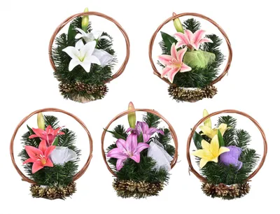 Obrázok produktu pre Nohel Záhradná kvetina LILY AUTUMN Arrangement 30cm
