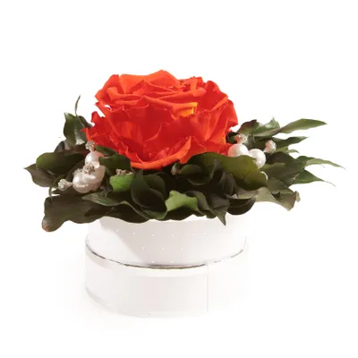 Immagine prodotto di Rosemarie Schulz Box con rosa stabilizzata Arancione Diamonds & Pearls