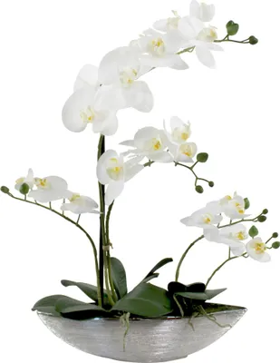 Produktbild von Kunst-Pflanze Orchidee Schiffchen Topf silber glänzend und weiße Blüten 53cm hoch