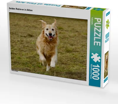Produktbild von Calvendo Golden Retriever in Aktion 1000 Teile Puzzle quer 640x480mm, CALVENDO; 7315304