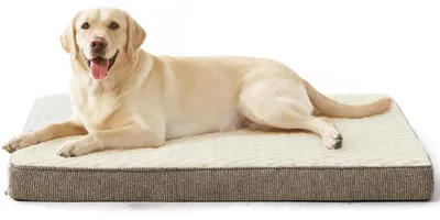 Produktbild von Orthopädisches Hundebett XL Waschbar Rutschfest 104x69x9.5cm Beige
